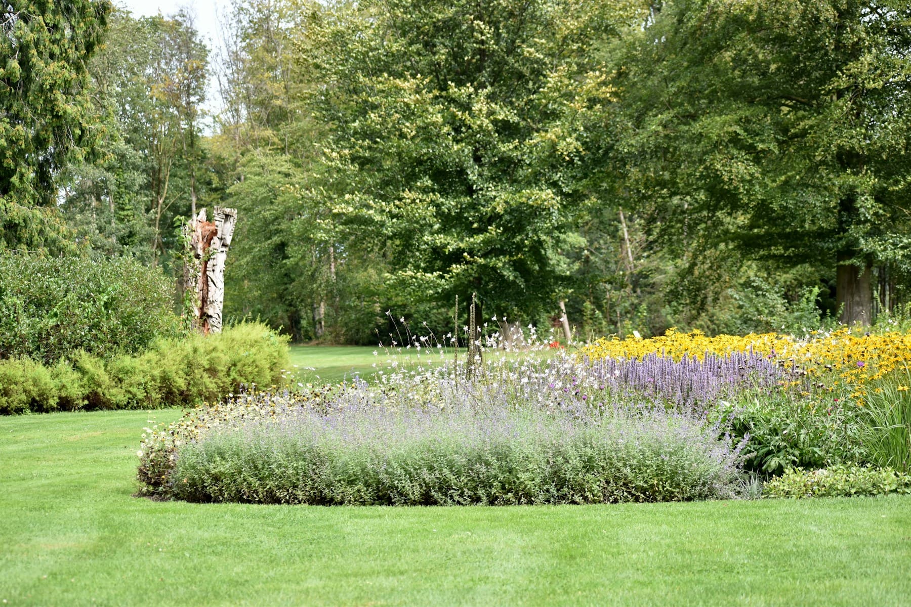 Pelouse tondue et massif arrondi de fleurs mauves et jaunes, devant de grands arbres